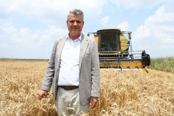 CHPli Ayhan Barut, ukurovada hasat bitiyor, TMO buday fiyatn aklamyor
