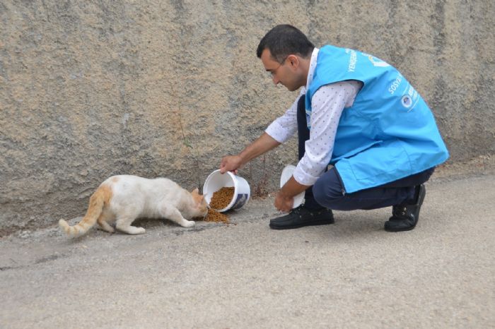 Yeniehir Belediyesi sokak hayvanlarn yalnz brakmyor...