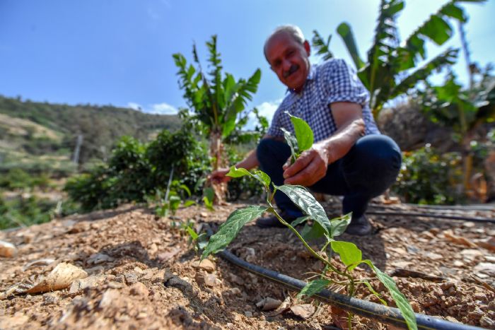  MERSN BYKEHR RETCYE ALTERNATF TARIM RNLER SUNUYOR...