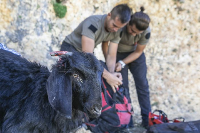 BYKEHR TFAYE EKPLER, 15 METRELK OBRUA DEN KEY KURTARDI...