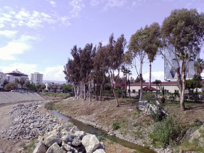 post-image