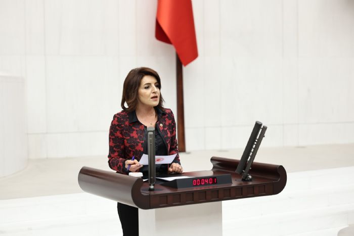 CHP Milletvekili Glcan Ktan, Bakan imeke CHP Mitinglerini zleyin ars...
