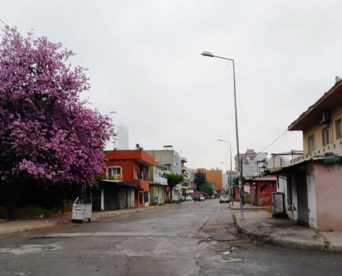 Souksu Caddesi...