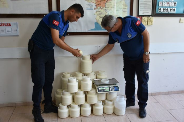 TARSUS BELEDYE ZABITASI GZ ATIRMIYOR, SON BR HAFTADA HALK SALIINA ZARARLI 830 KLOGRAM PEYNIR 