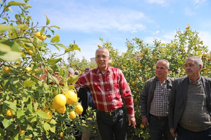 Bakan Tarhan, limon reticisinin feryadn gndeme tad...