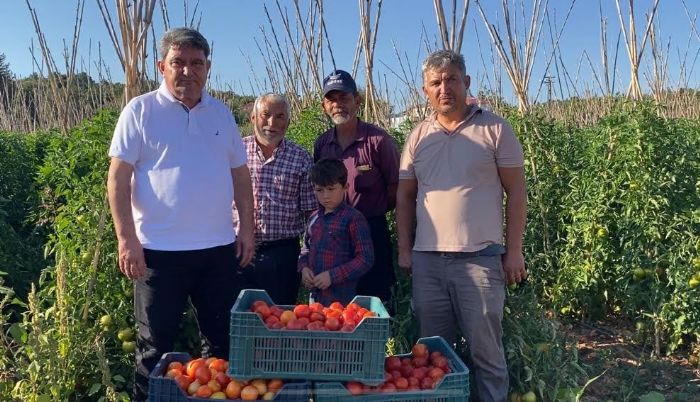 Gkel, Bu karar kaldrlmazsa ifti gelecek yl domates retmeyecek...