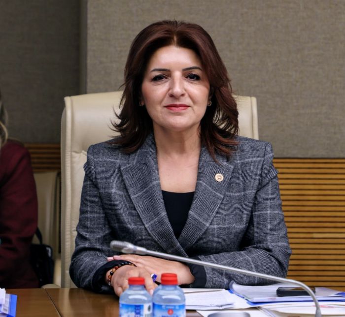 CHP’L� G�LCAN KI�: �BU TORBA YASA YEREL Y�NET�MLER� SARAY �ZN�NE BA�LAMA G�R���M�D�R...�