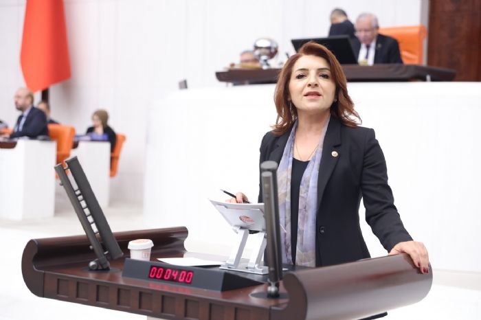 CHP Mersin Milletvekili G�lcan K��: ��hmal zinciri Saray��n b�t�e tercihlerinde ba�l�yor...�