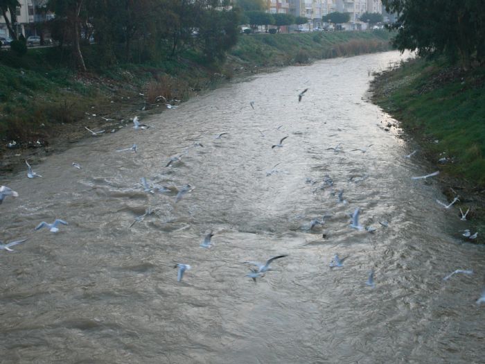 Efrenk Deresi eski gnlerini aryor...