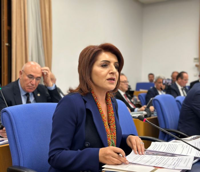 CHP’liK’tanUlatrma Bakanna Yarm Kalan Proje Sorular...