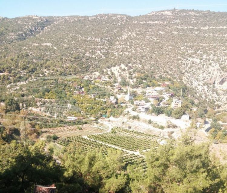 post-image