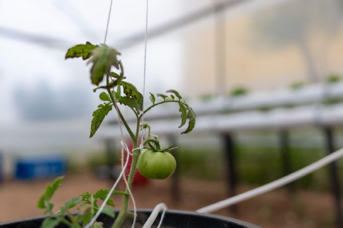 Yeni�ehir�den e�itime �Ye�il� destek...