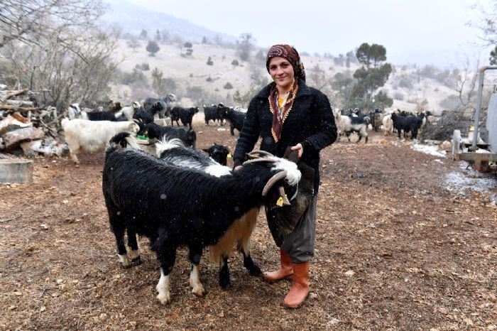 Bykehir’den hayvancla tevik ve destek...