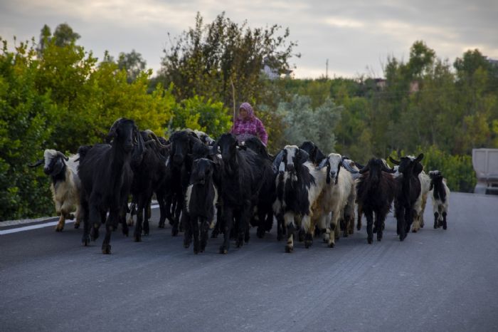 BYKEHR YOLLLARIN STANDARDINI YKSELTYOR...