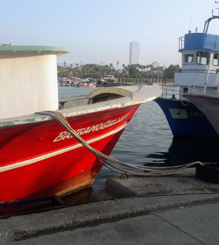 Balklar endieli bekleyite