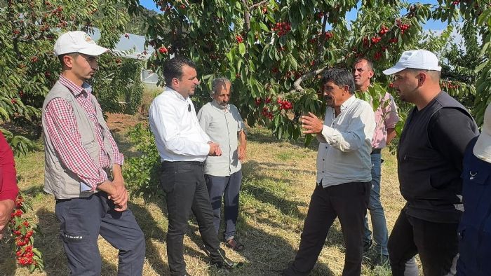 CHP�L� BA�EV�RGEN, K�RAZ �RET�C�LER�N� D�NLED�... 