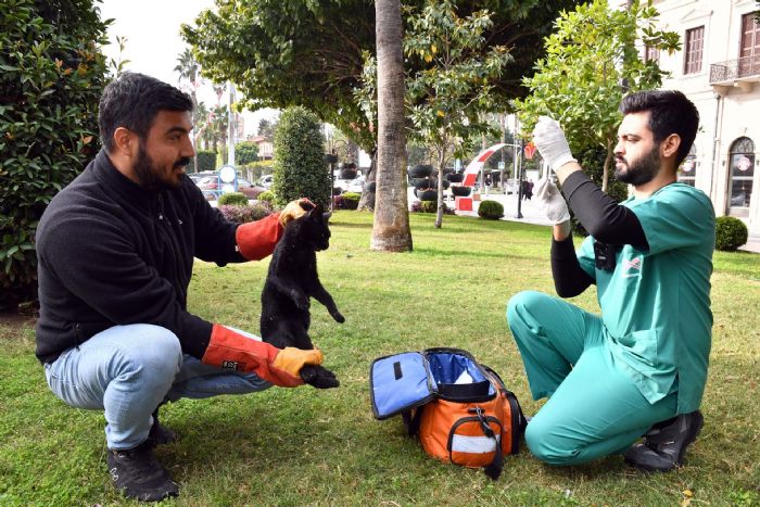 KALI BAKIMEV BNLERCE PATL DOSTUN YAAMINA DOKUNDU...