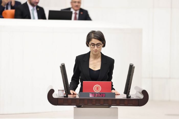 Yeil Sol Parti Diyarbakr Milletvekili Ceylan AKA CUPOLO’dan depreme ynelik soru nergesi...