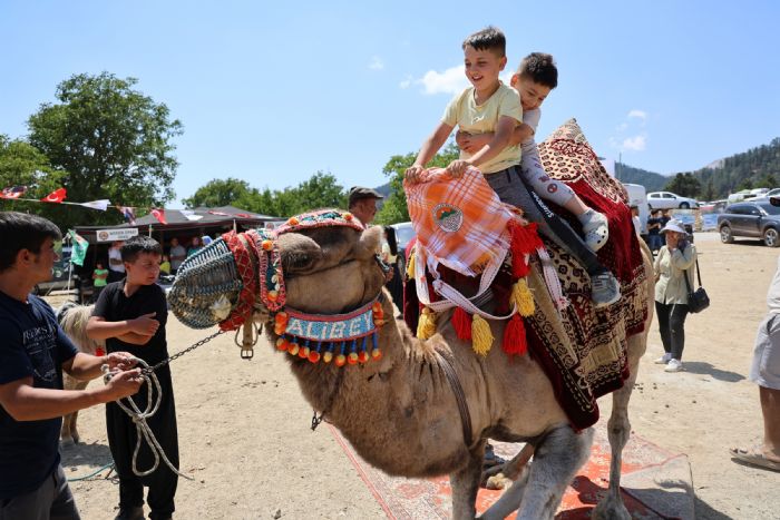 2. KARDE� G��ERLER Y�R�K ETK�NL��� TOROSLAR�IN Z�RVES�NDE... 