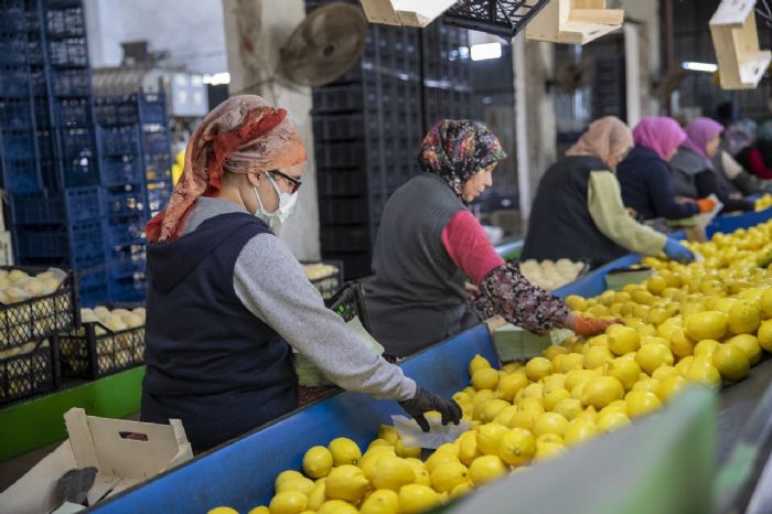 SEER: RETCLERMZE DESTEK, VATANDALARIMIZA VTAMN OLDU...