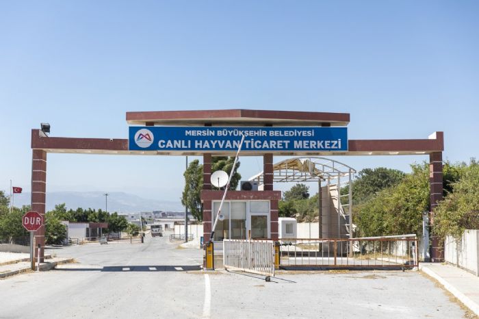 MERSN BYKEHR, MEZBAHALAR VE MOBL KESM NTELER LE KURBAN BAYRAMINA HAZIR